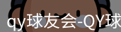 qy球友会
